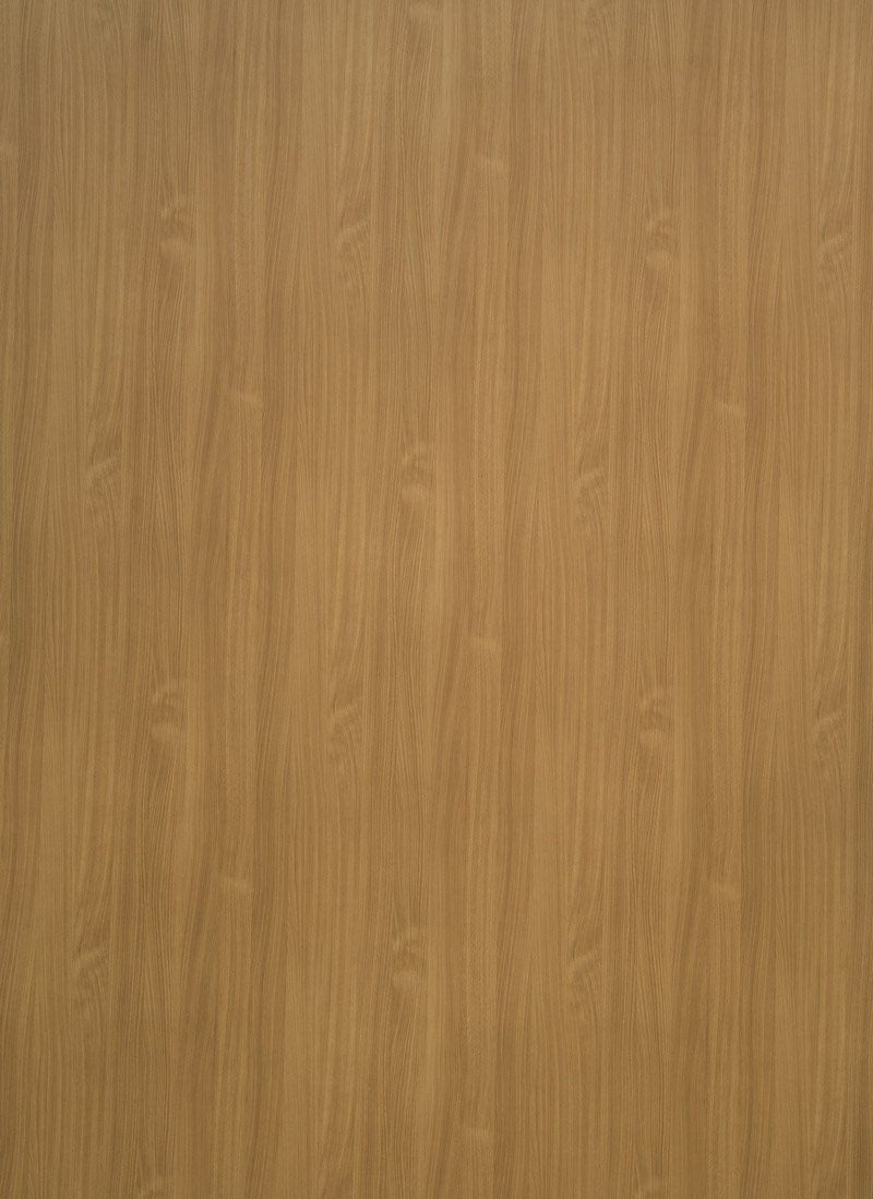 Nívó biztonsági ajtó Dekorit szín - Bükk