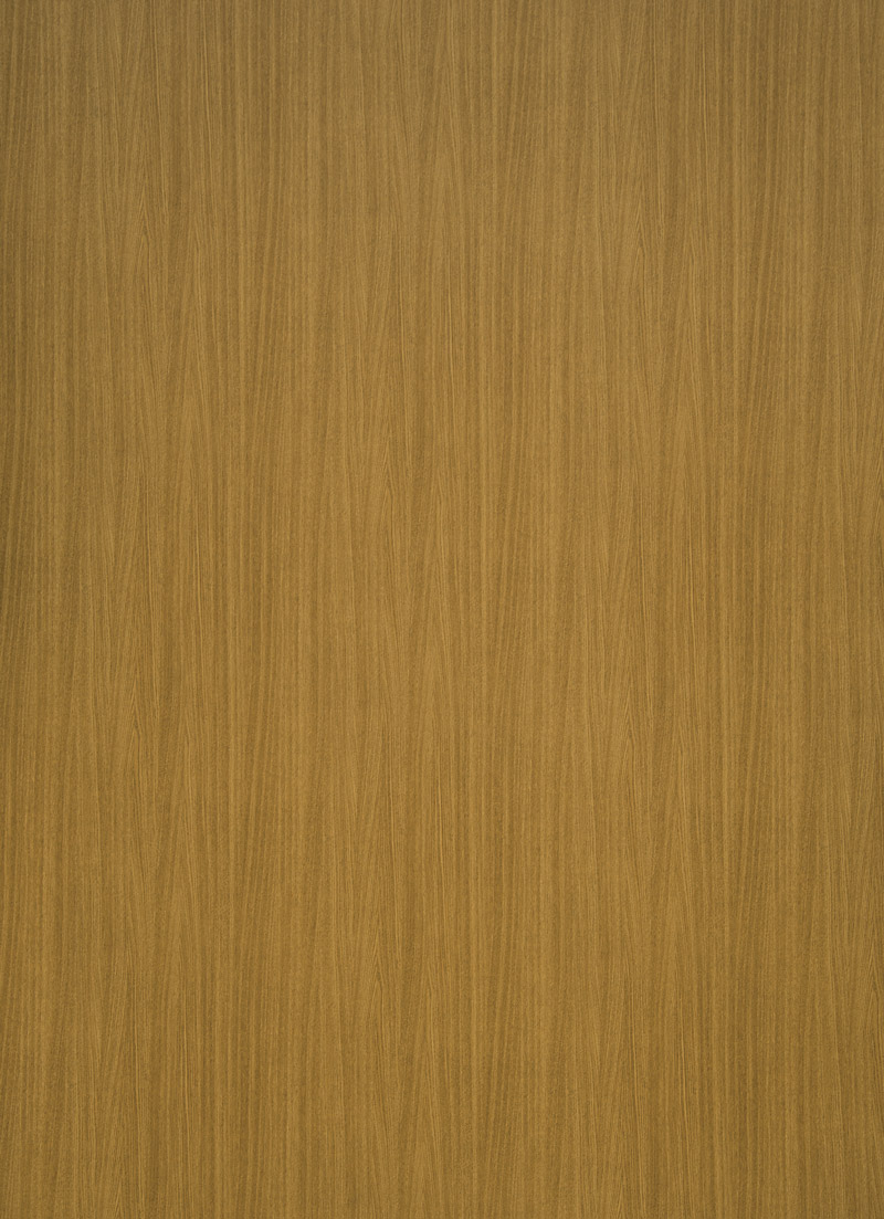 Nívó biztonsági ajtó Dekorit szín - Világos tölgy