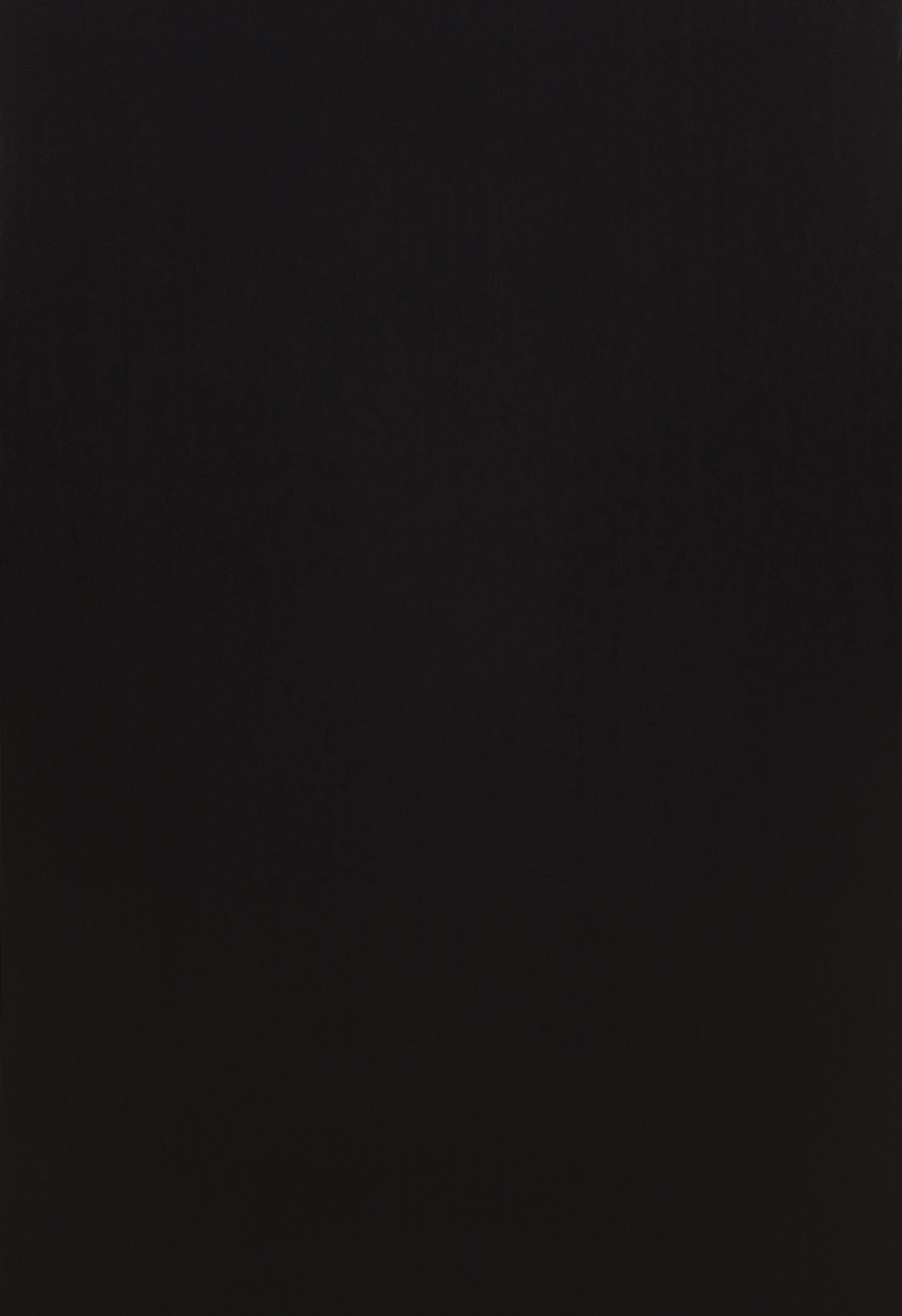 Nívó biztonsági ajtó Festett szín - Sötét wenge